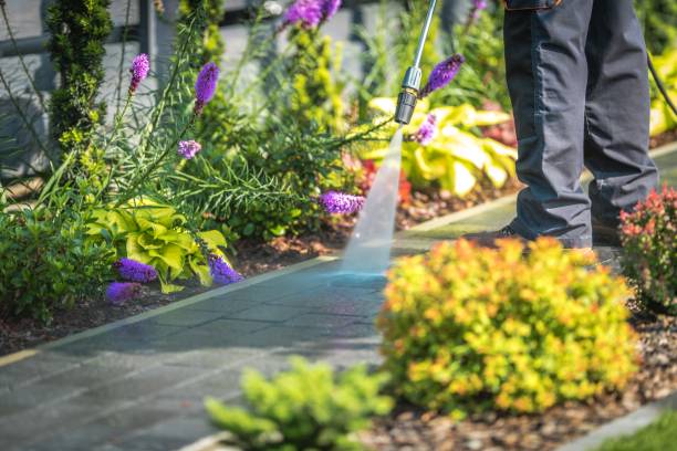 Best Winterizing Services  in Lorena, TX